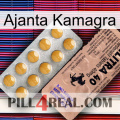 Ajanta Kamagra 41